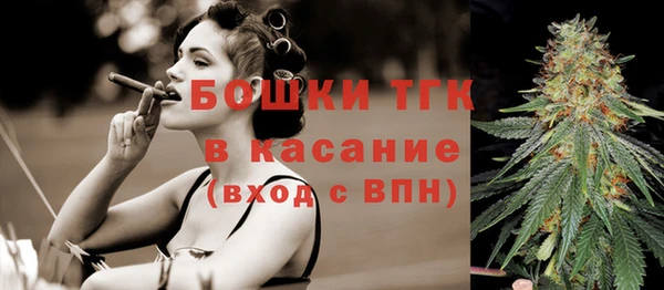 ПСИЛОЦИБИНОВЫЕ ГРИБЫ Корсаков