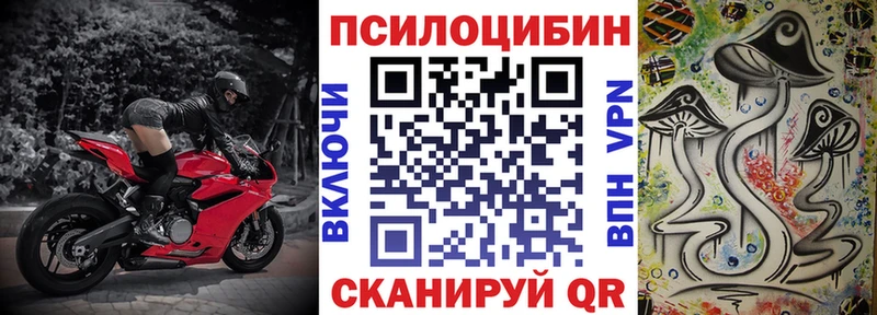 Псилоцибиновые грибы Psilocybe  Краснотурьинск 